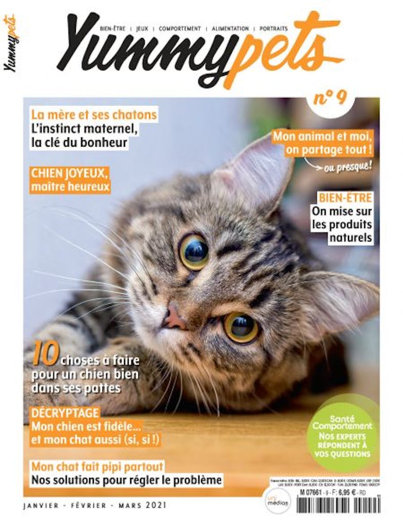 Yummypets Le Magazine Pour Les Amoureux Des Animaux Uni Medias